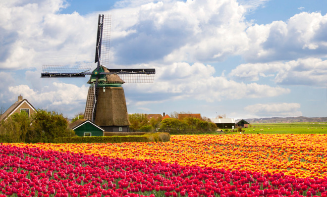 dropship in Netherlands
