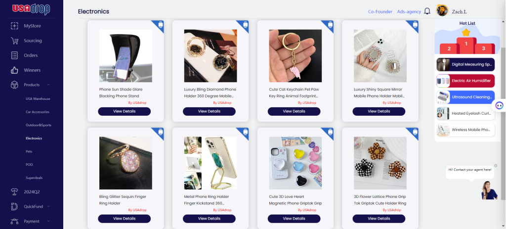 profitable dropshipping niche