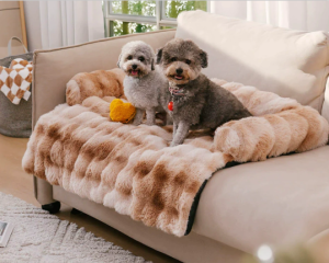 Fluffy pet sofa product candidate